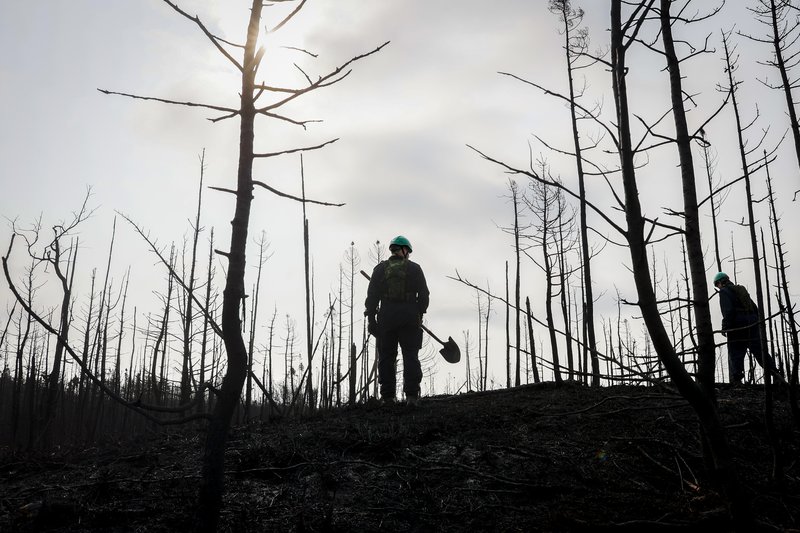 a72c6c43-4f29-4c15-92e7-24194095c3bb